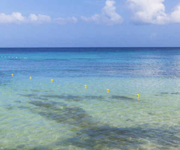 Barbados beach scene